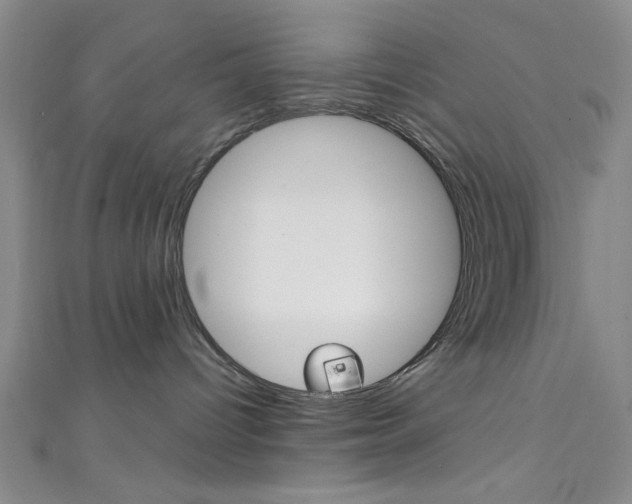 X0000111830096200907231031
