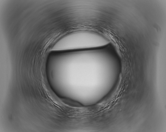 X0000111830097200907231030