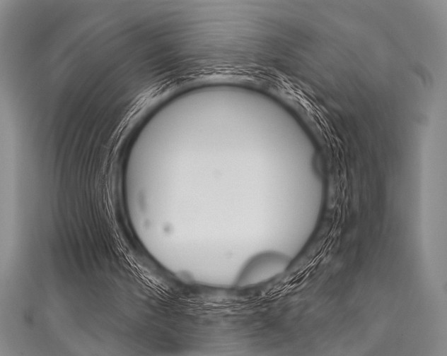 X0000111830098200907231030