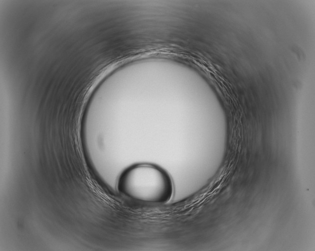 X0000111830100200907231030