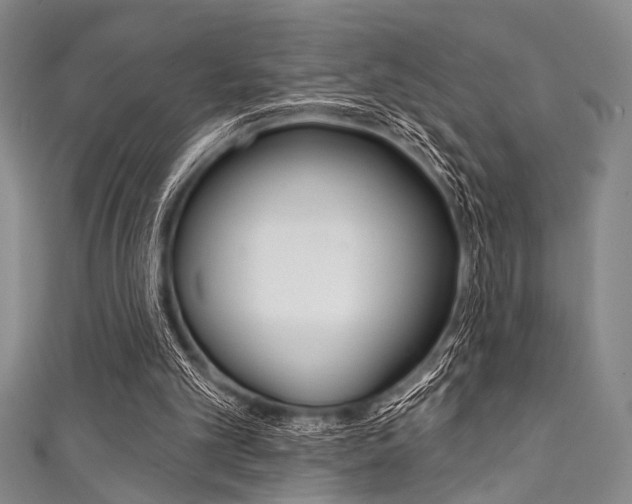 X0000111830101200907231030