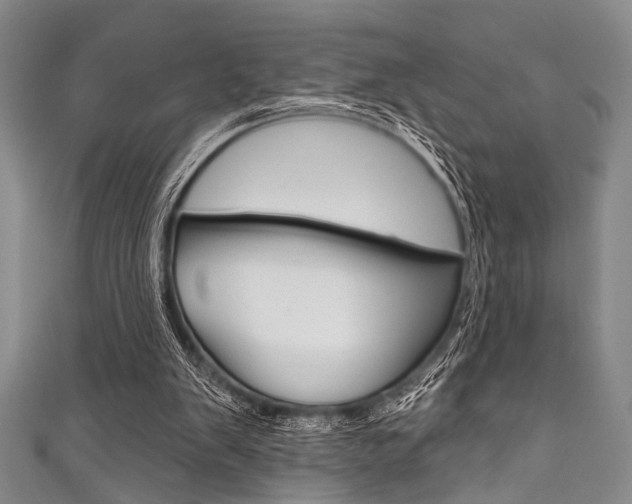 X0000111830103200907231030