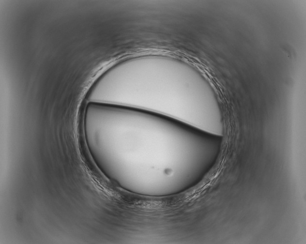 X0000111830104200907231030