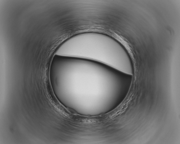 X0000111830105200907231030