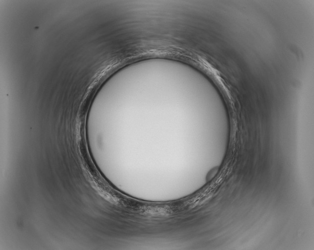X0000111830106200907231030