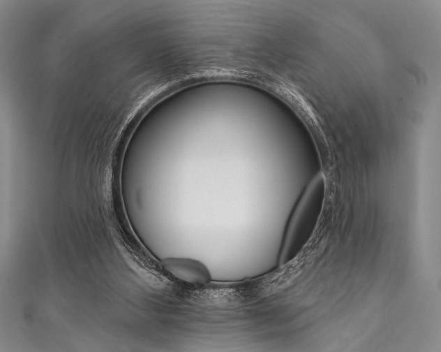 X0000111830108200907231030