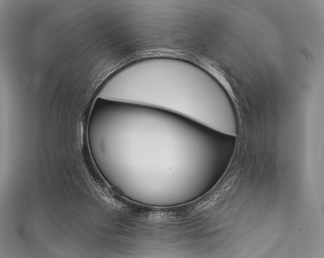 X0000111830109200907231030