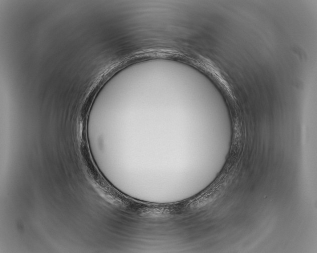 X0000111830110200907231030