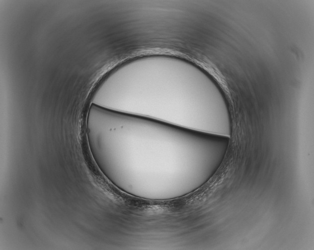 X0000111830111200907231030