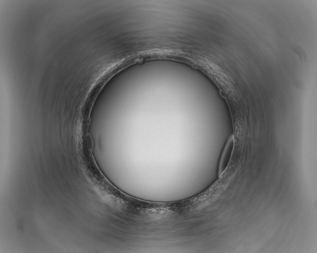 X0000111830112200907231030