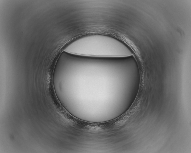 X0000111830113200907231030