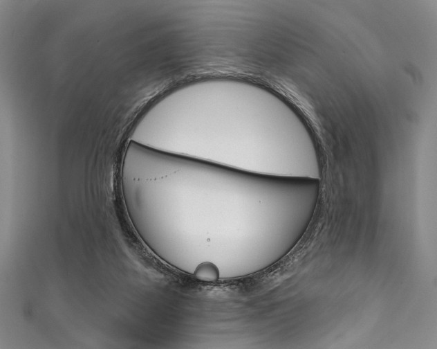 X0000111830115200907231030