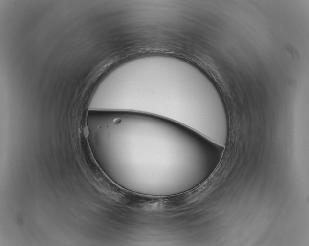 X0000111830116200907231030
