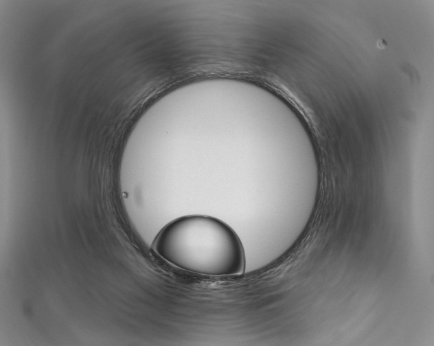 X0000111830117200907231030