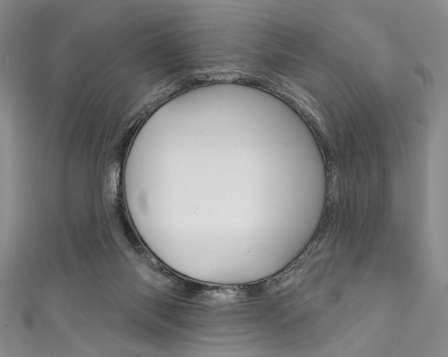 X0000111830118200907231030