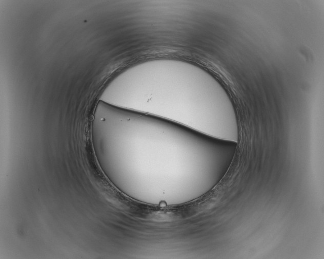 X0000111830119200907231030