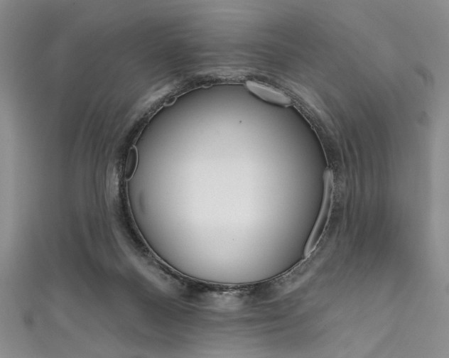 X0000111830120200907231030