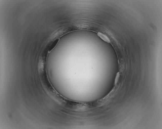 X0000111830124200907231030