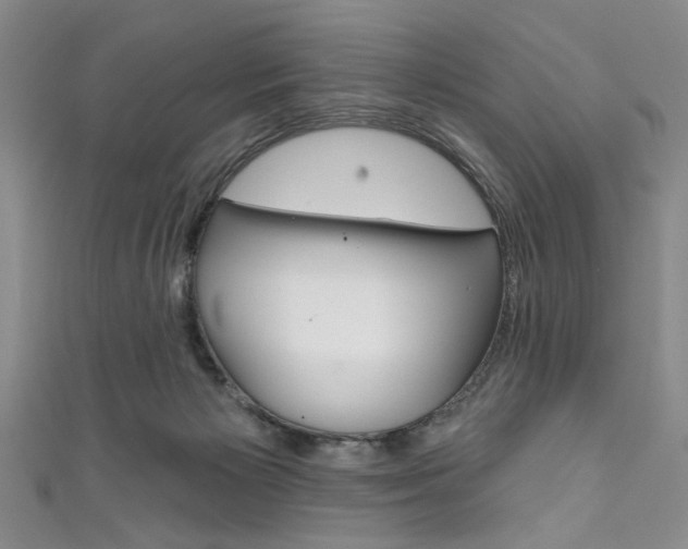 X0000111830125200907231030