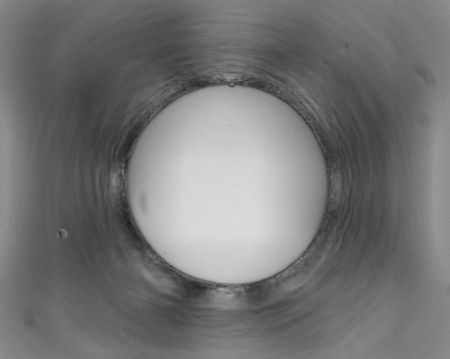 X0000111830126200907231030