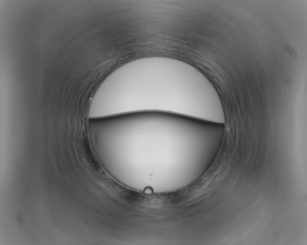 X0000111830127200907231030