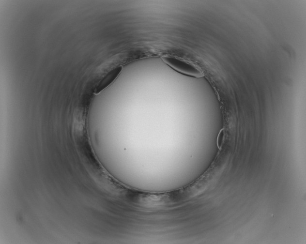 X0000111830129200907231030