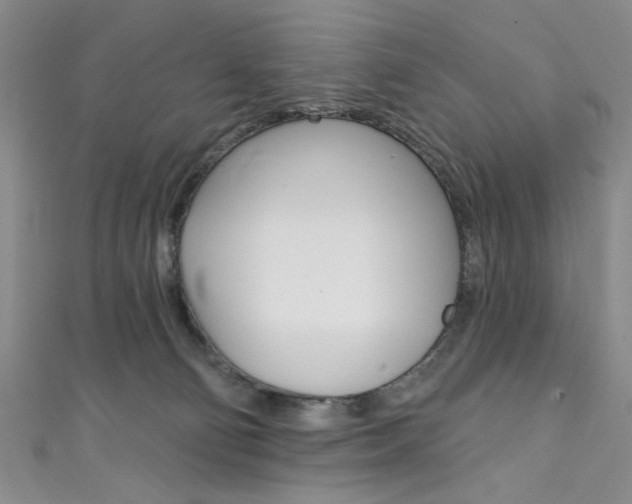 X0000111830130200907231030