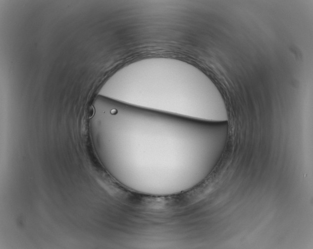 X0000111830131200907231030