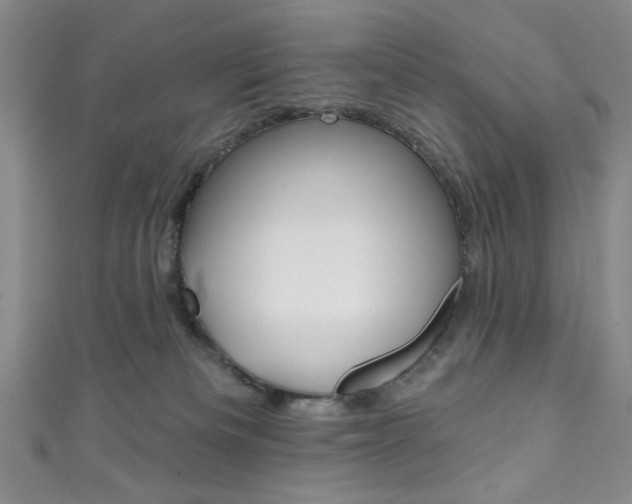 X0000111830133200907231030