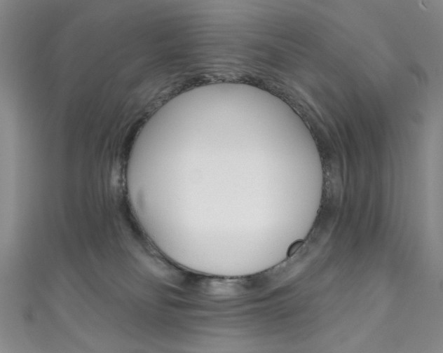 X0000111830134200907231030