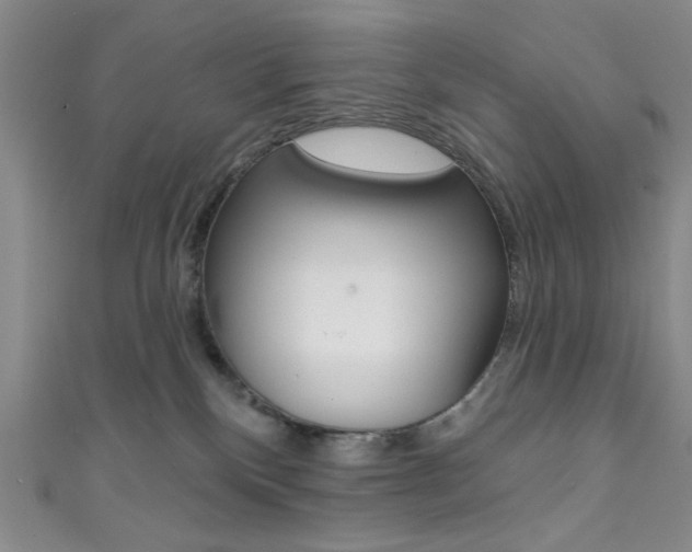 X0000111830136200907231030
