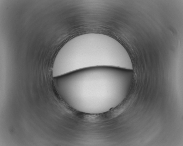 X0000111830139200907231030