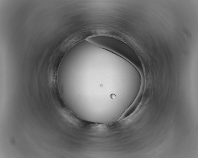 X0000111830140200907231030