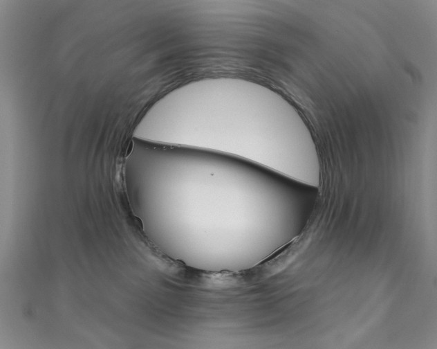 X0000111830141200907231030