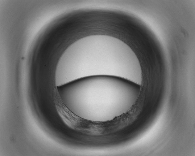 X0000111830143200907231030