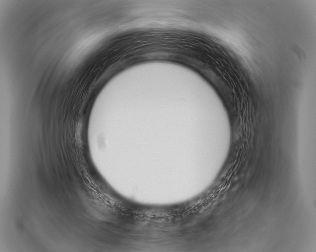 X0000111830146200907231029