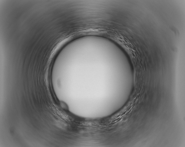 X0000111830147200907231029