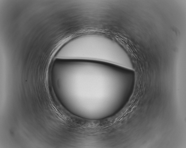 X0000111830148200907231029