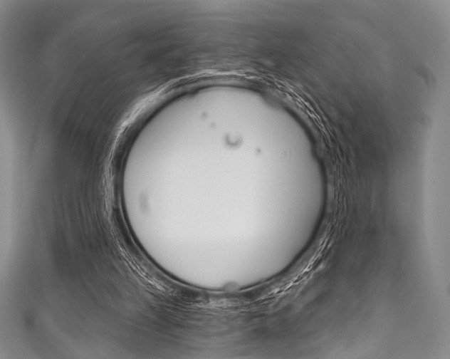 X0000111830149200907231029