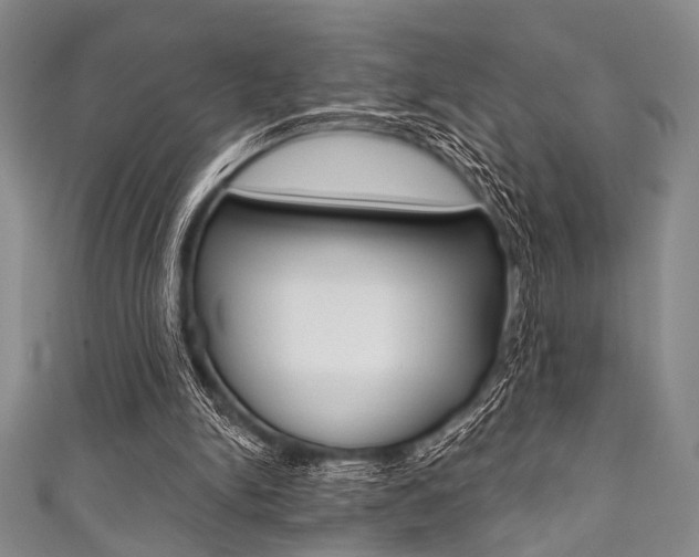 X0000111830150200907231029