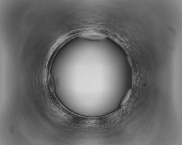 X0000111830152200907231029