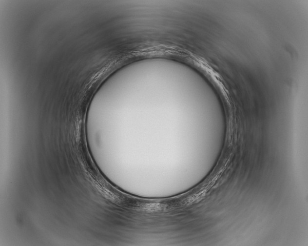 X0000111830153200907231029