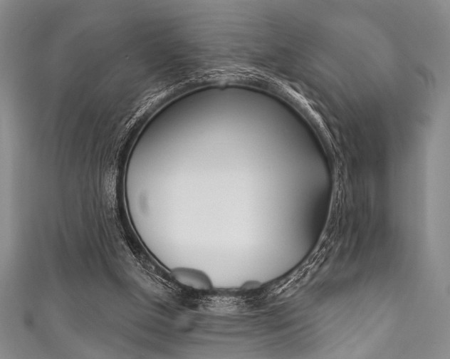 X0000111830154200907231029