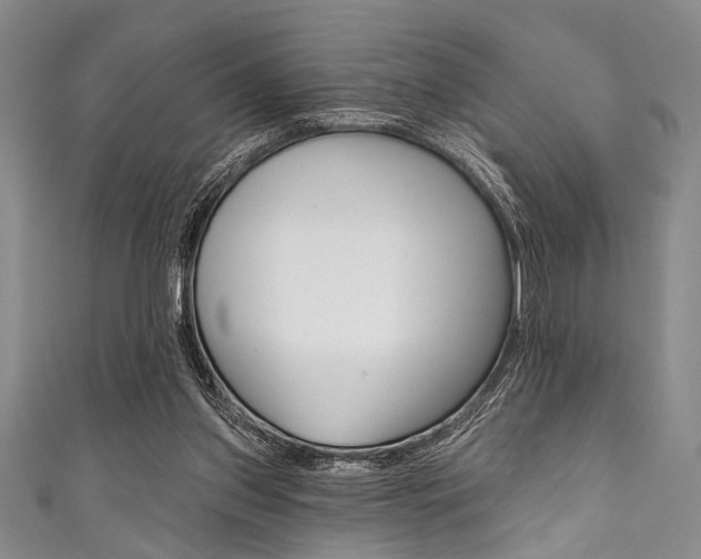 X0000111830157200907231029