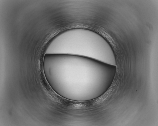 X0000111830158200907231029