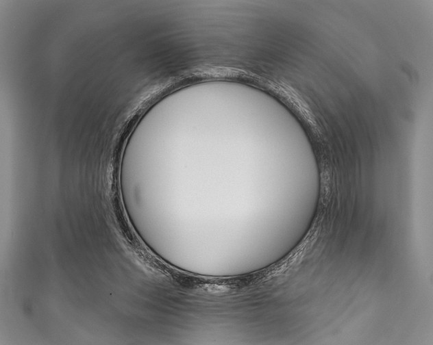 X0000111830159200907231029