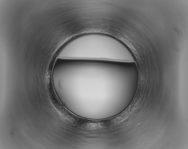 X0000111830160200907231029