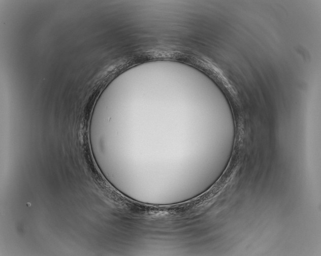 X0000111830161200907231029