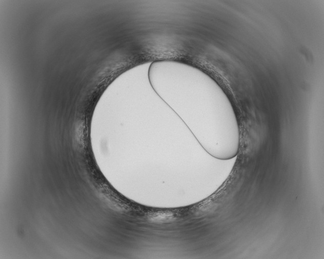 X0000111830162200907231029