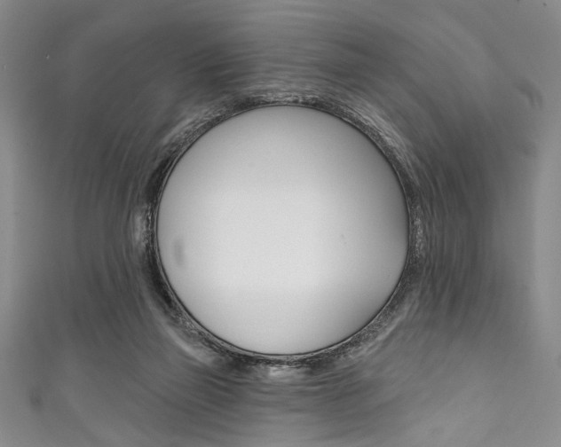 X0000111830165200907231029